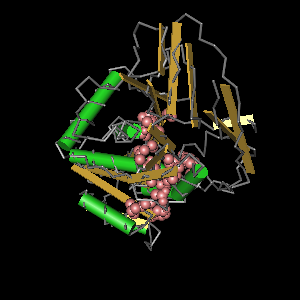 Conserved site includes 26 residues -Click on image for an interactive view with Cn3D