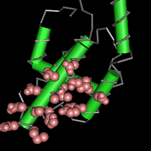 Conserved site includes 14 residues -Click on image for an interactive view with Cn3D