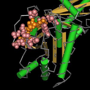 Conserved site includes 11 residues -Click on image for an interactive view with Cn3D