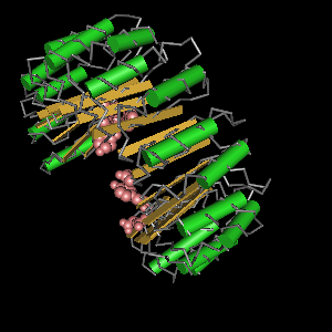 Conserved site includes 10 residues -Click on image for an interactive view with Cn3D
