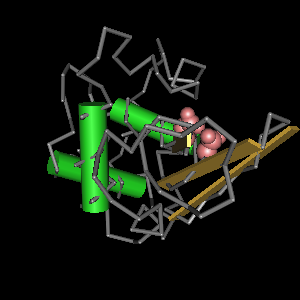 Conserved site includes 2 residues -Click on image for an interactive view with Cn3D