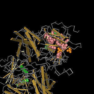 Conserved site includes 12 residues -Click on image for an interactive view with Cn3D
