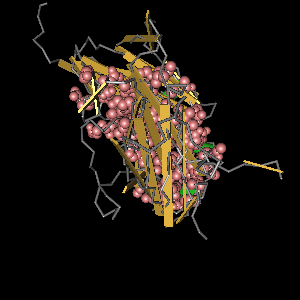 Conserved site includes 46 residues -Click on image for an interactive view with Cn3D
