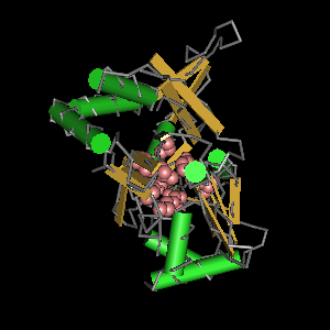 Conserved site includes 13 residues -Click on image for an interactive view with Cn3D