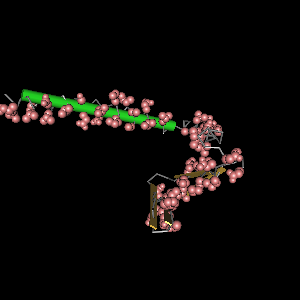 Conserved site includes 52 residues -Click on image for an interactive view with Cn3D
