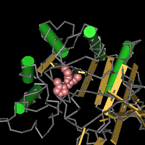 Conserved site includes 3 residues -Click on image for an interactive view with Cn3D