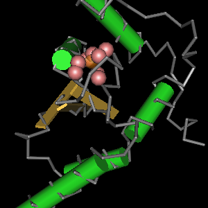Conserved site includes 4 residues -Click on image for an interactive view with Cn3D